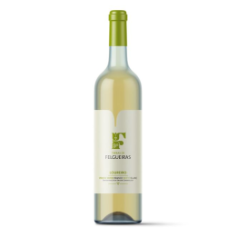 Terras de Felgueiras Vinho Verde Loureiro