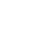 Akcie